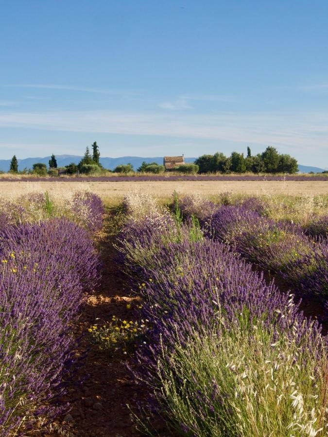 Studio du Verdon Gréoux-les-Bains Esterno foto