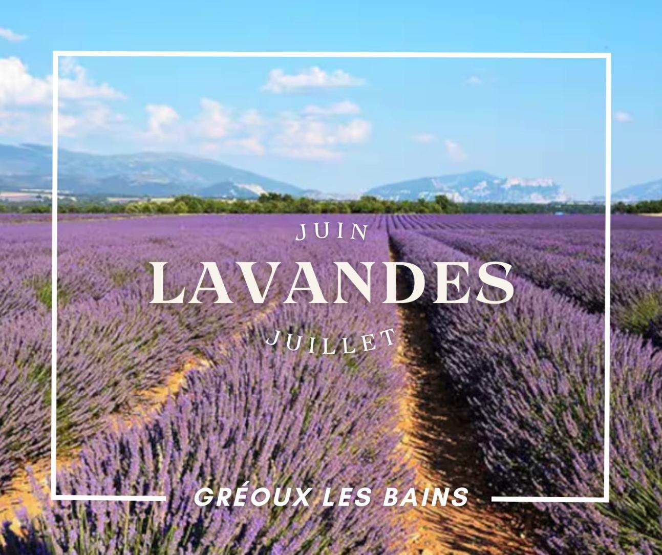 Studio du Verdon Gréoux-les-Bains Esterno foto